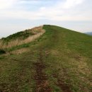 금오름 가는 길 이미지