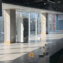 1985금화중식당 이미지