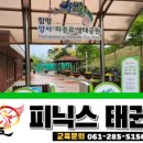 피닉스태권도장 이미지