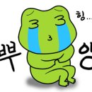 소나무세차장 이미지