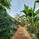 이화원(온실) 이미지