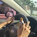 웨스트코스트트레이닝 | 기립근소녀단 제주도 크로스핏 웨스트코스트 드랍인 후기 - 와드 중간에 튄 후기 푼다