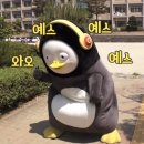 유앤지 이미지