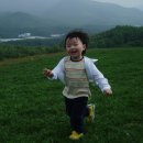 송민목장 네이버블로그