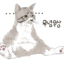 돌덕후