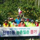 신평1동-6 이미지