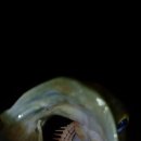 청도천4 이미지