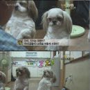 웃으면복이와요 이미지