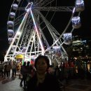 시드니 달링 하버(Darling Harbour)의 불꽃놀이(Fireworks) 이미지