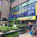 우리종묘농약사 네이버블로그