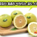 스위티 - 여수시 화산로 94 | 스위티
