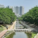 솔마루커피