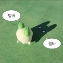 주자만루 네이버블로그