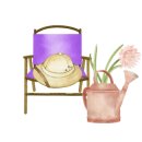 스타캔디 이미지