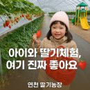 병길농장 | 7세 아이와 함께한 딸기 따기 체험과 딸기잼 만들기 체험,들꽃가람농장 후기