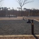 황방산 야영장 이미지