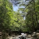 2346 | [충남] 논산 ‘대둔산 수락캠핑장’ 503, 506번 사이트｜내돈내산 솔직 후기(Feat. 초대캠?)