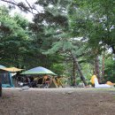 돌배야영장(제1야영장) 이미지