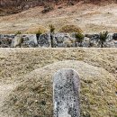 주천면-3(의호총) 이미지