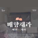 새라컨설팅 이미지