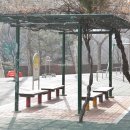 현대아파트 티스토리
