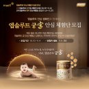 궁 이미지