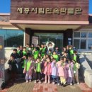 용인대용전태권도 이미지