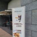 카페디노진주