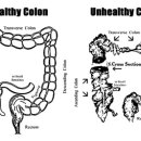 사계절한의원 이미지