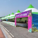 고인돌공원건너 | 2025 화순 봄꽃축제의 현장 화순 꽃강길