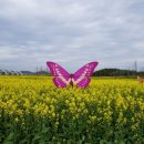 해남군-16 이미지