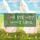 영대약국 | 대구 남구 셀프사진관 아이디얼 스튜디오 사진 수정까지 잘하는 이색 컨셉 사진관 방문 솔직 후기