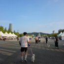 댕댕# | 댕댕런2025/댕댕런대전 후기💛💚