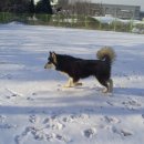 태산농장 이미지