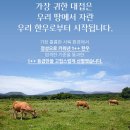 오세득 셰프의 프리미엄 한우~~~ 투쁠 스테이크