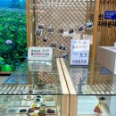 경기전 여행자 라운지 화장실 이미지