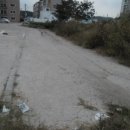 술이홀로(1) 이미지