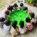 소나무유치원 이미지