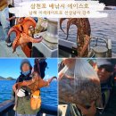 여기는 팔포항입니다 | 문어가 쏟아지는 사천 에이스호 삼천포 배낚시 후기