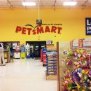 펫츠마트 이미지