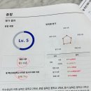 루소영어학원
