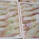 중앙로(대로2-3) 이미지