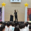 파우파우 이미지