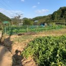 북면농장 이미지