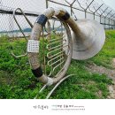 나팔 - 12469 | 나팔