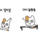 버블버블 네이버블로그