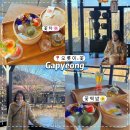 힐링꽃차 | 가평 여행/ 오롯이,꽃/ 꽃떡쌈 꽃차 꽃에이드/ 서울근교 데이트 힐링 카페추천