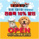 인천송도에서 찾은 반려동물 천국 멍냥집사24 방문 후기