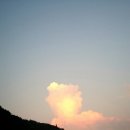 한채쭈꾸미 네이버블로그