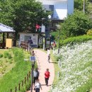 우산공원길 이미지